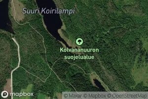Uuronpuro
