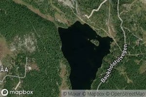 Svintjorna