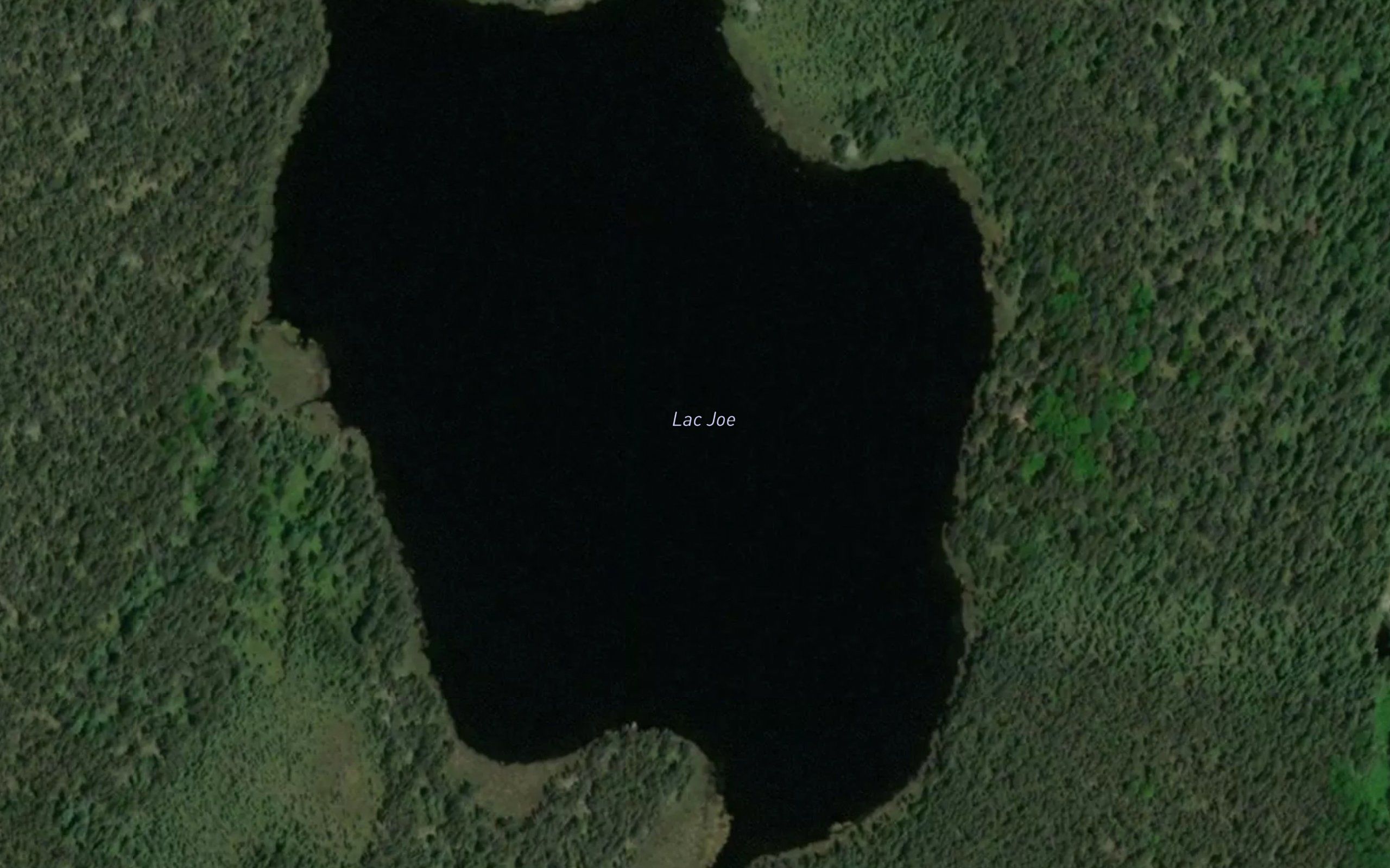 Lac Joe