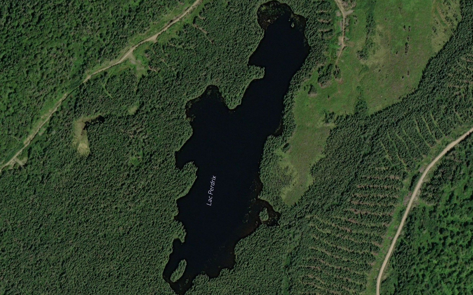 Satellite map of the Lac Perdrix