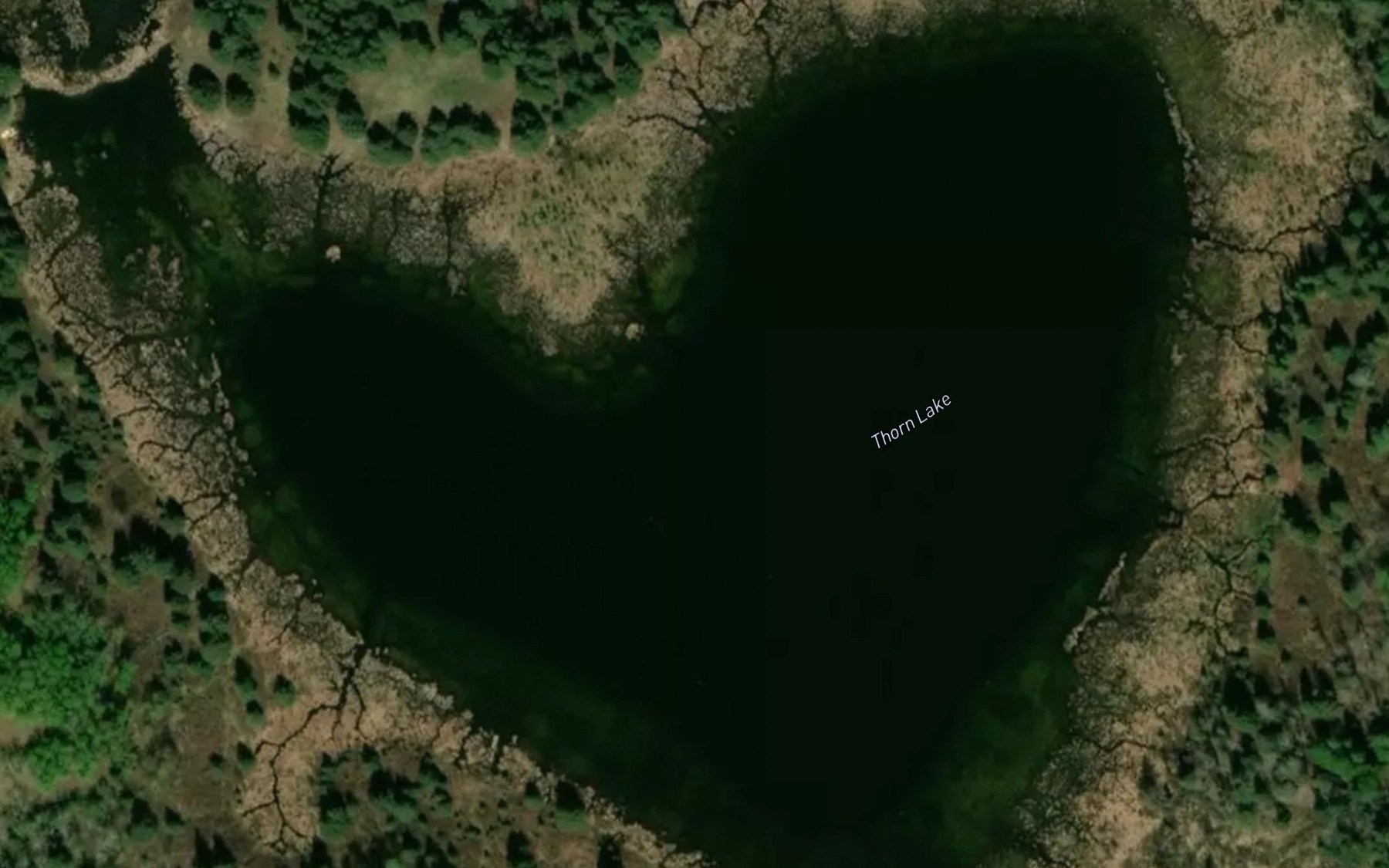 Satellite map of the Thorn Lake