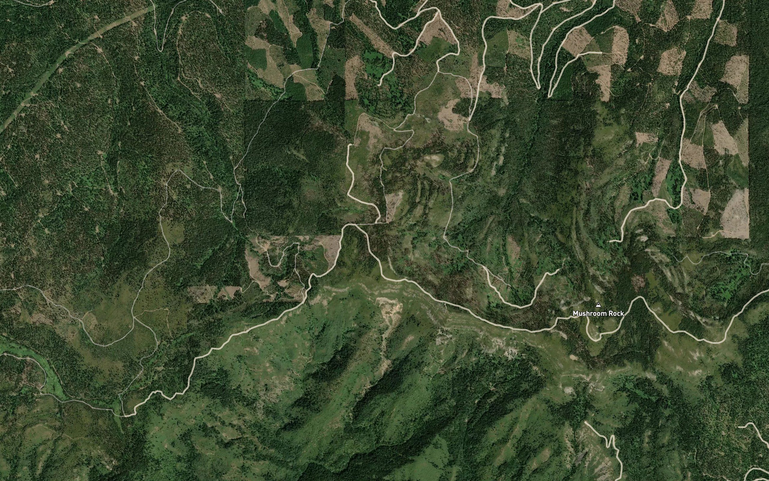 Deer Springs