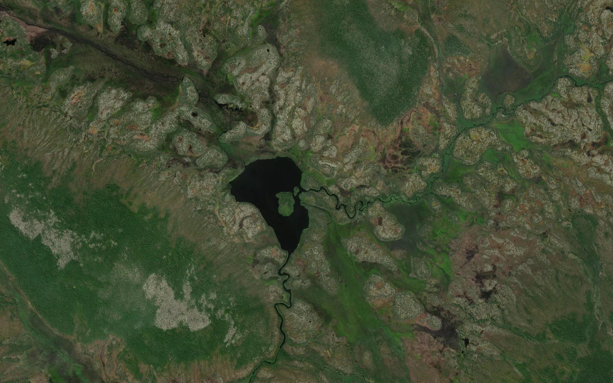 Burgaalkan