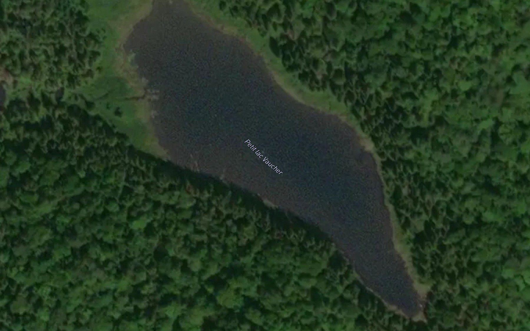 Satellite map of the Petit lac Vaucher