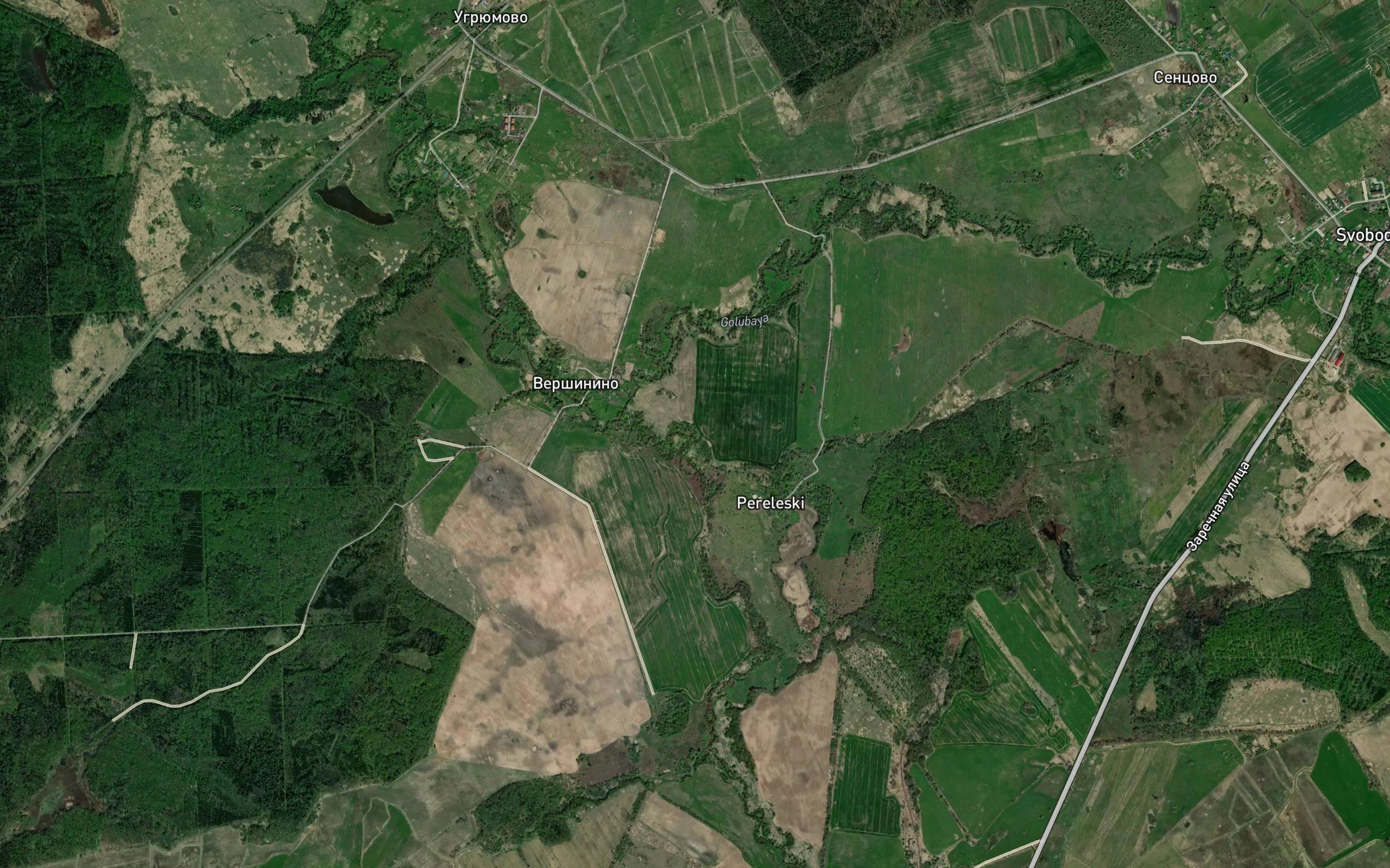 Kuplya