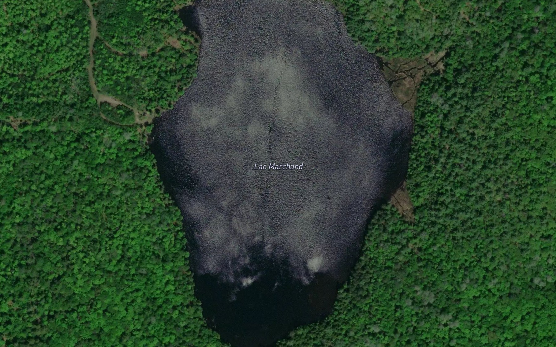 Satellite map of the Lac Marchand