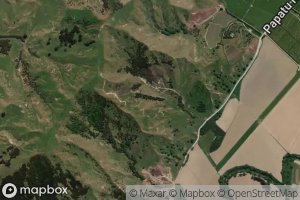 Satellite map of the Te Arai River