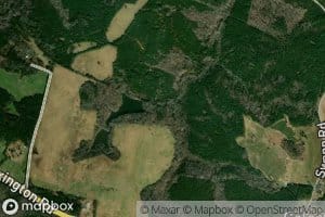Washington-Wilkes Orchard Lake