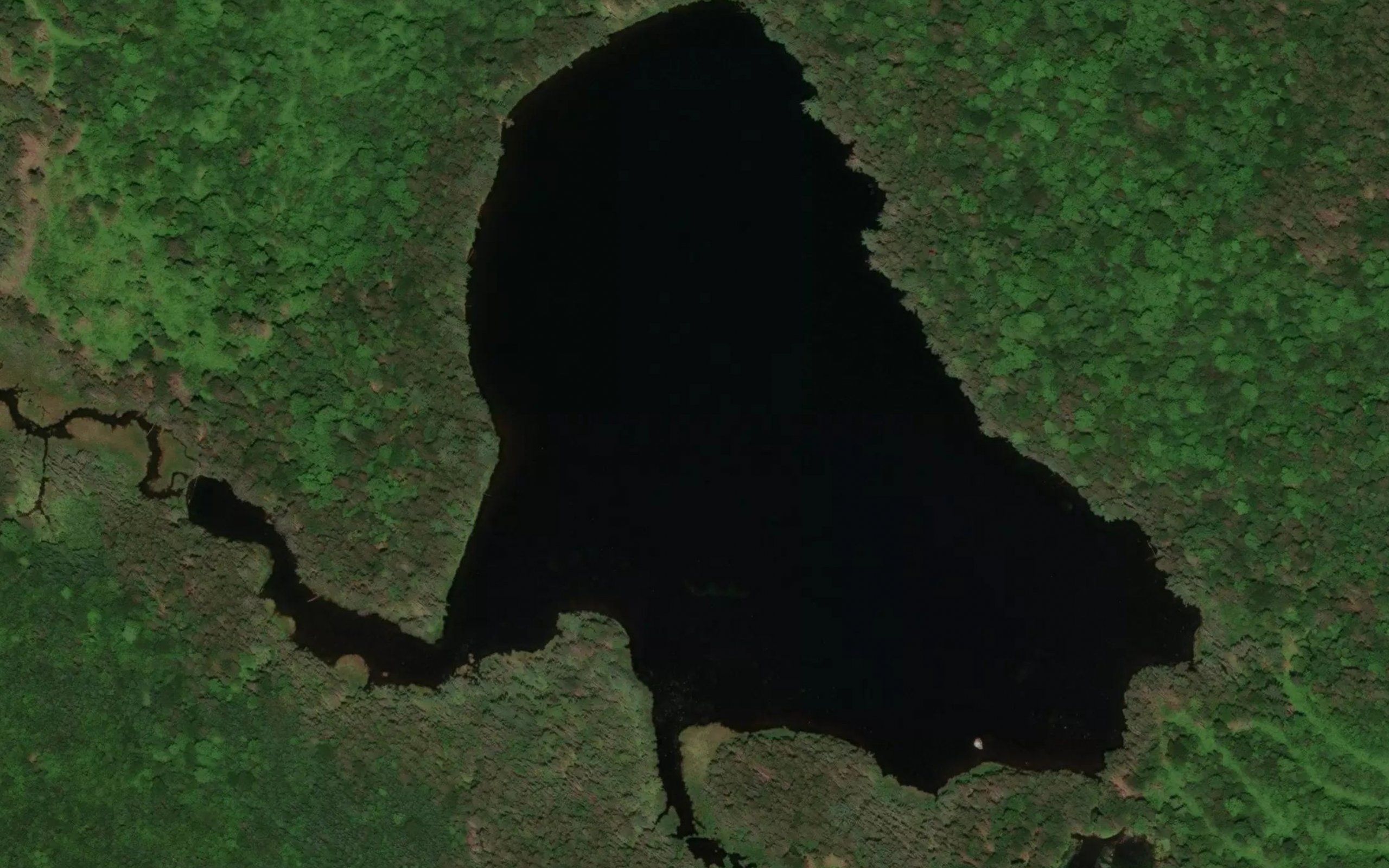 Harrington Pond