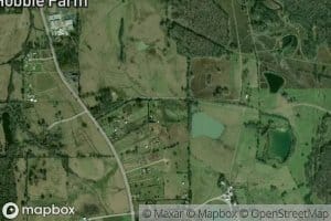 Vongol Lake Number One