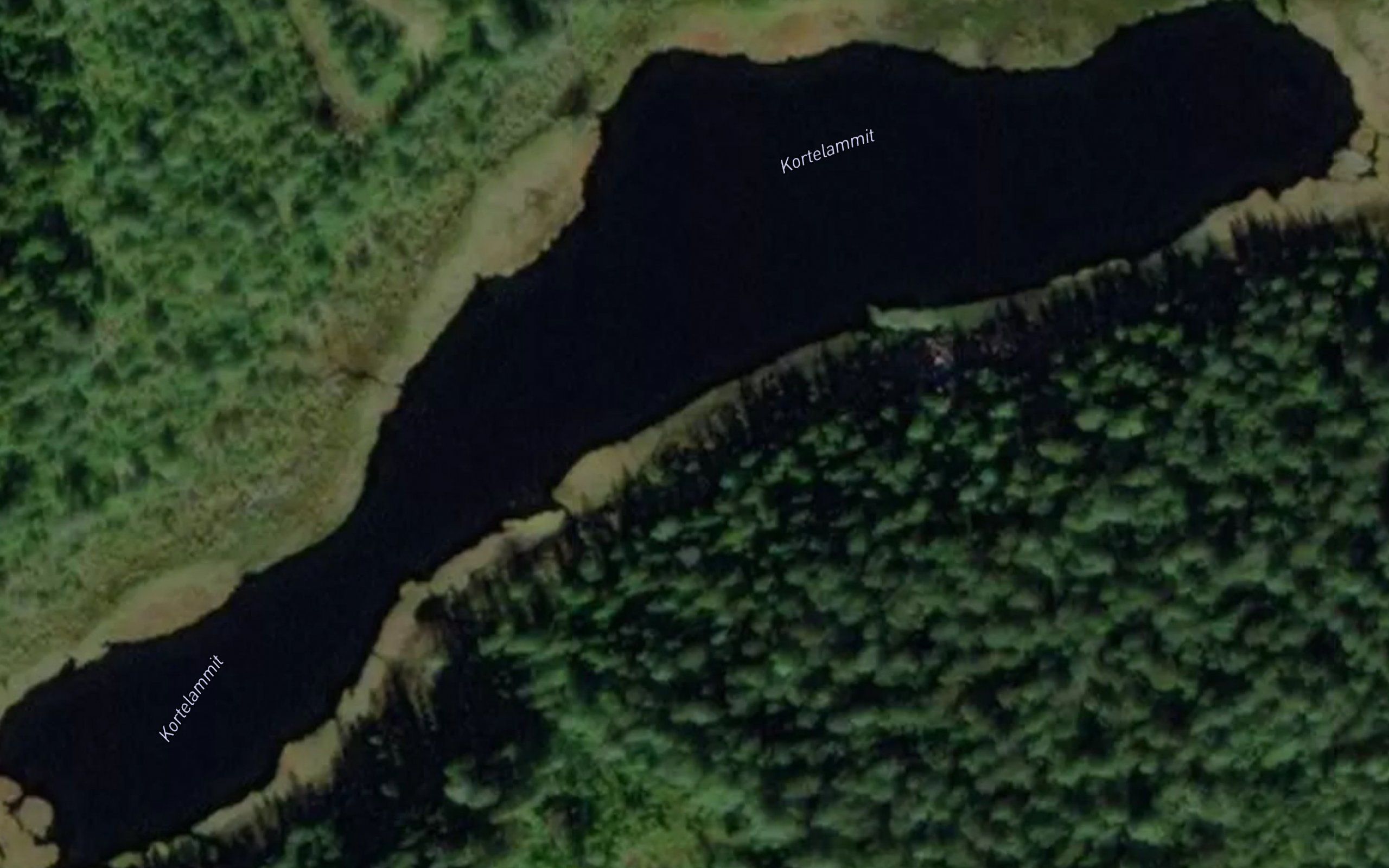 Kortelammit