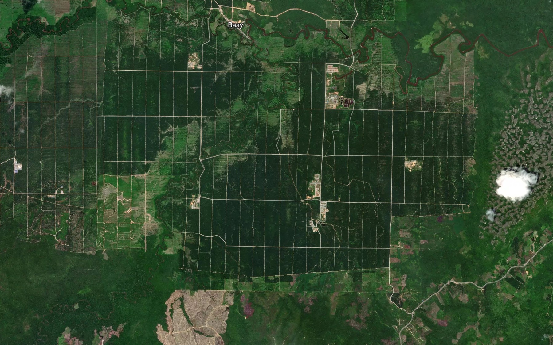 Satellite map of the Sungai Binatang