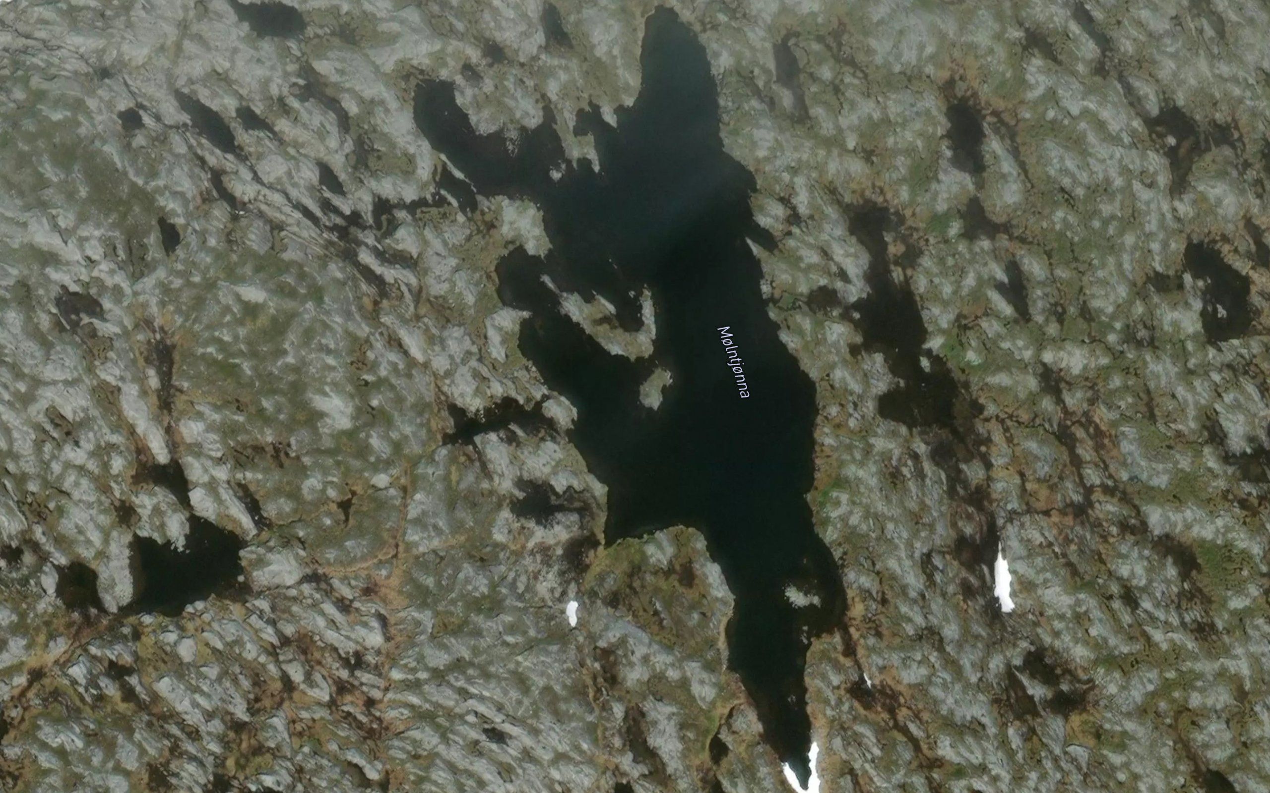 Molntjorna