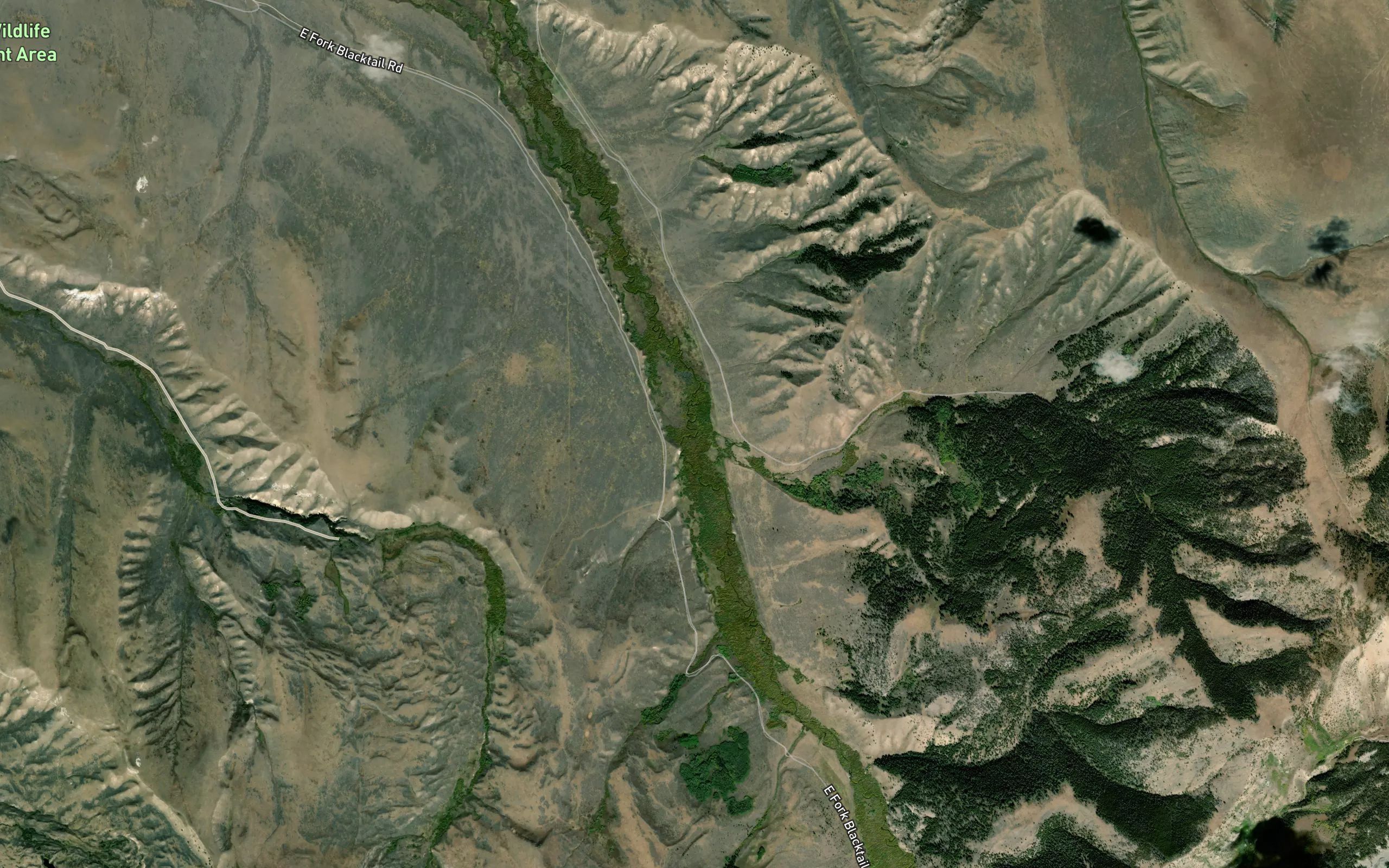 Taylor Creek