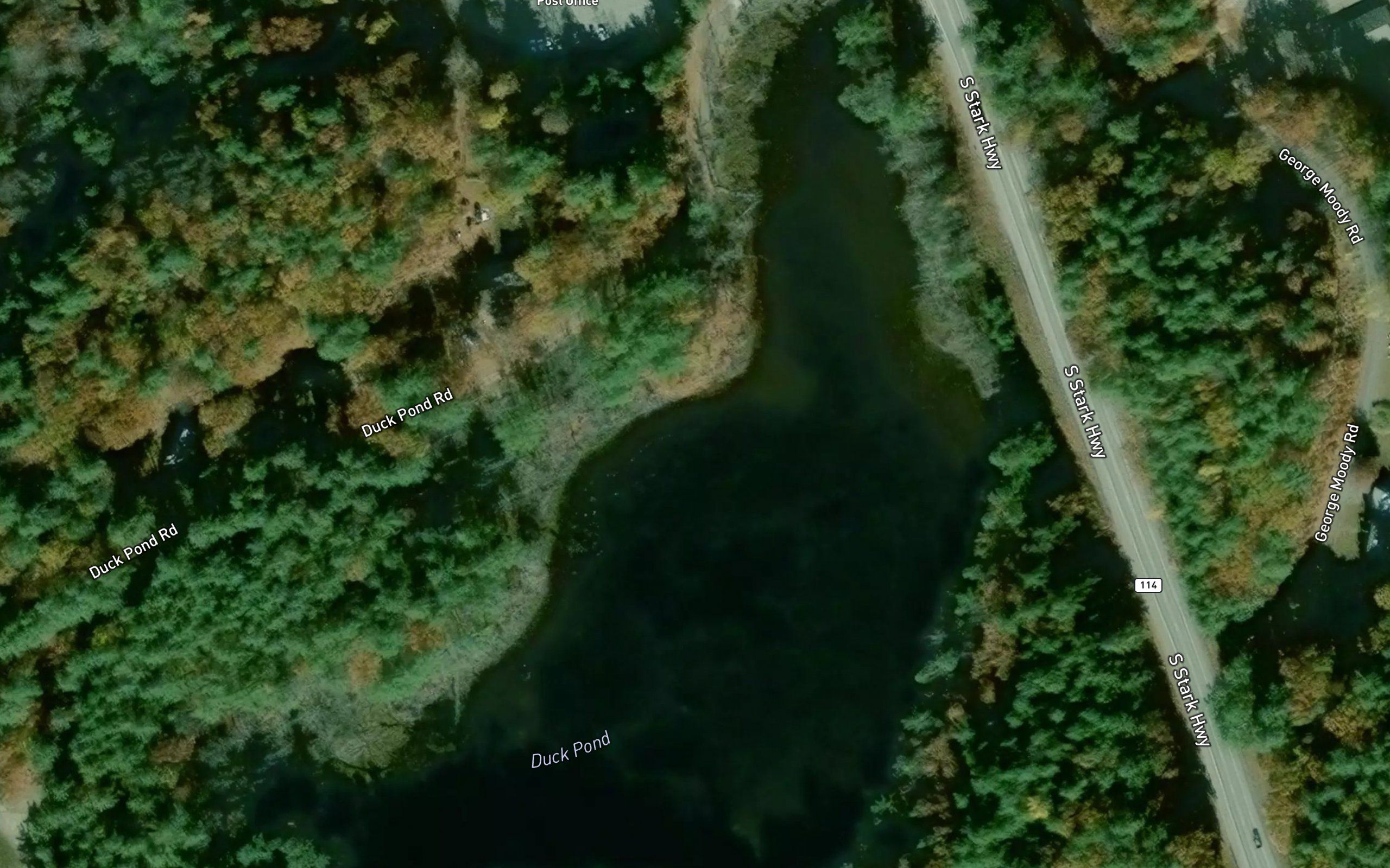 Duck Pond