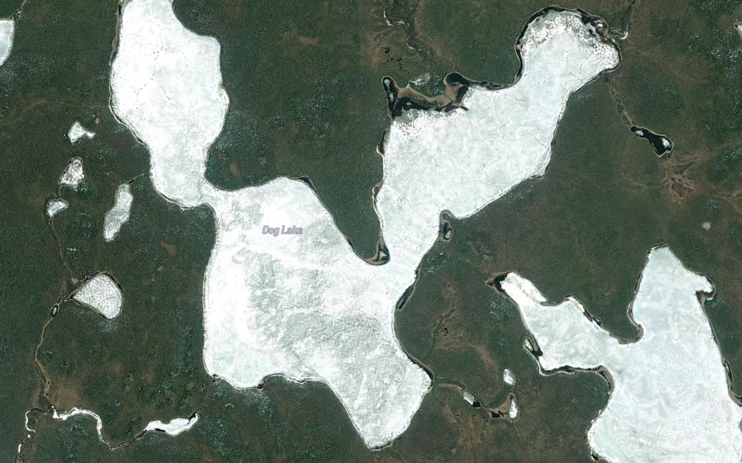 Dog Lake