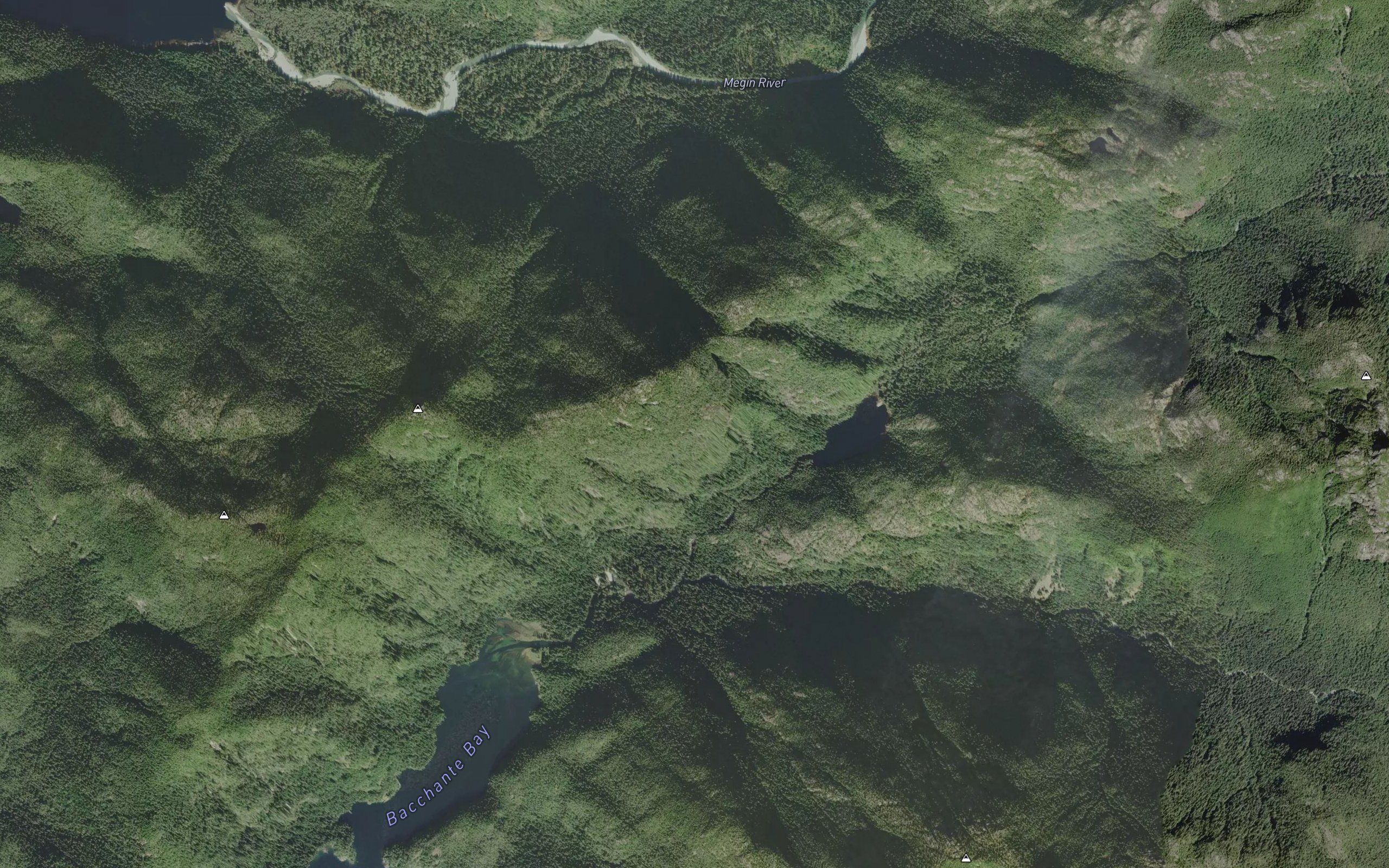 Shelter Creek