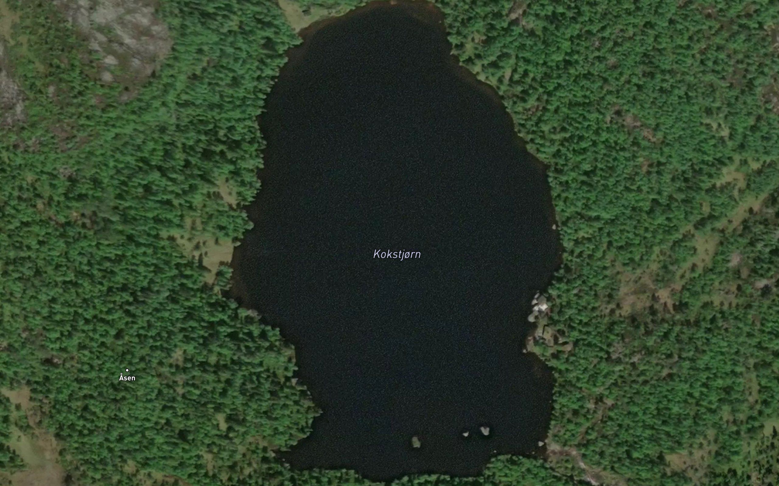 Kokstjonn
