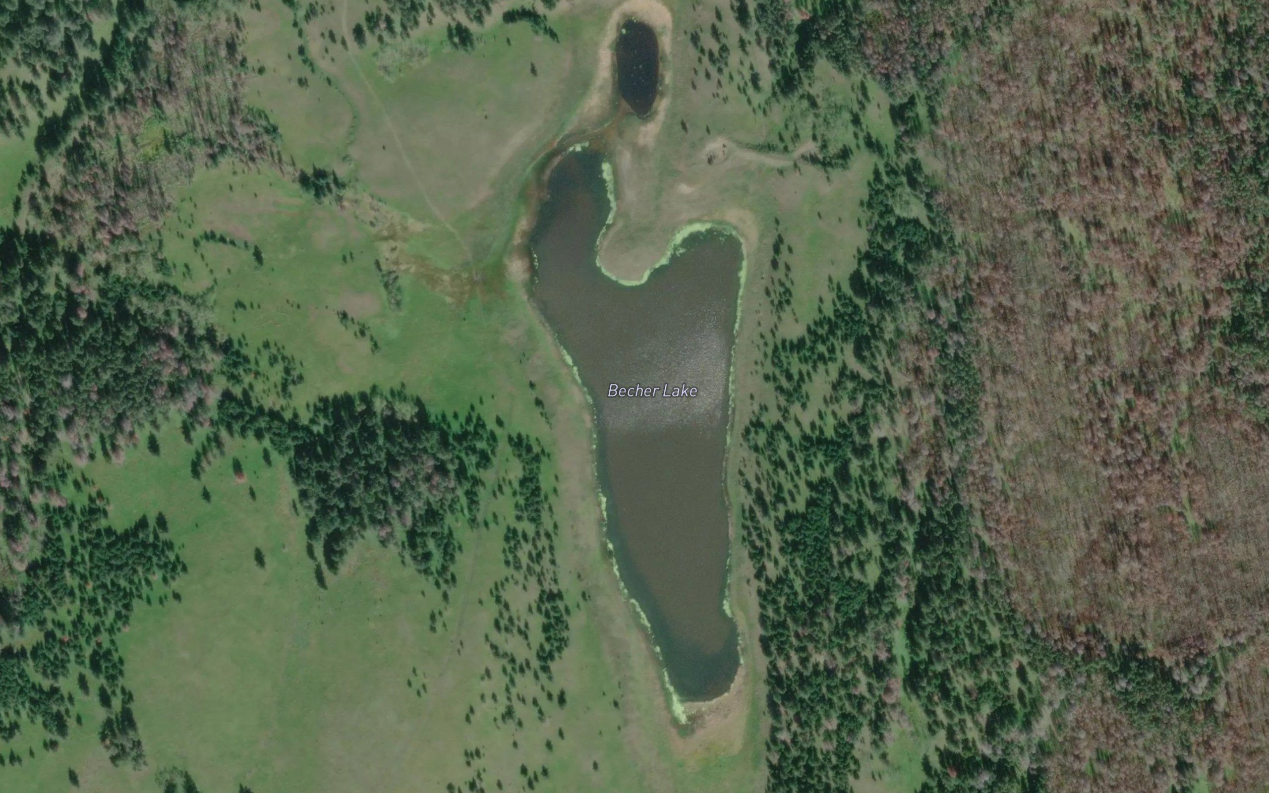 Becher Lake
