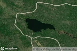 Lac Frog