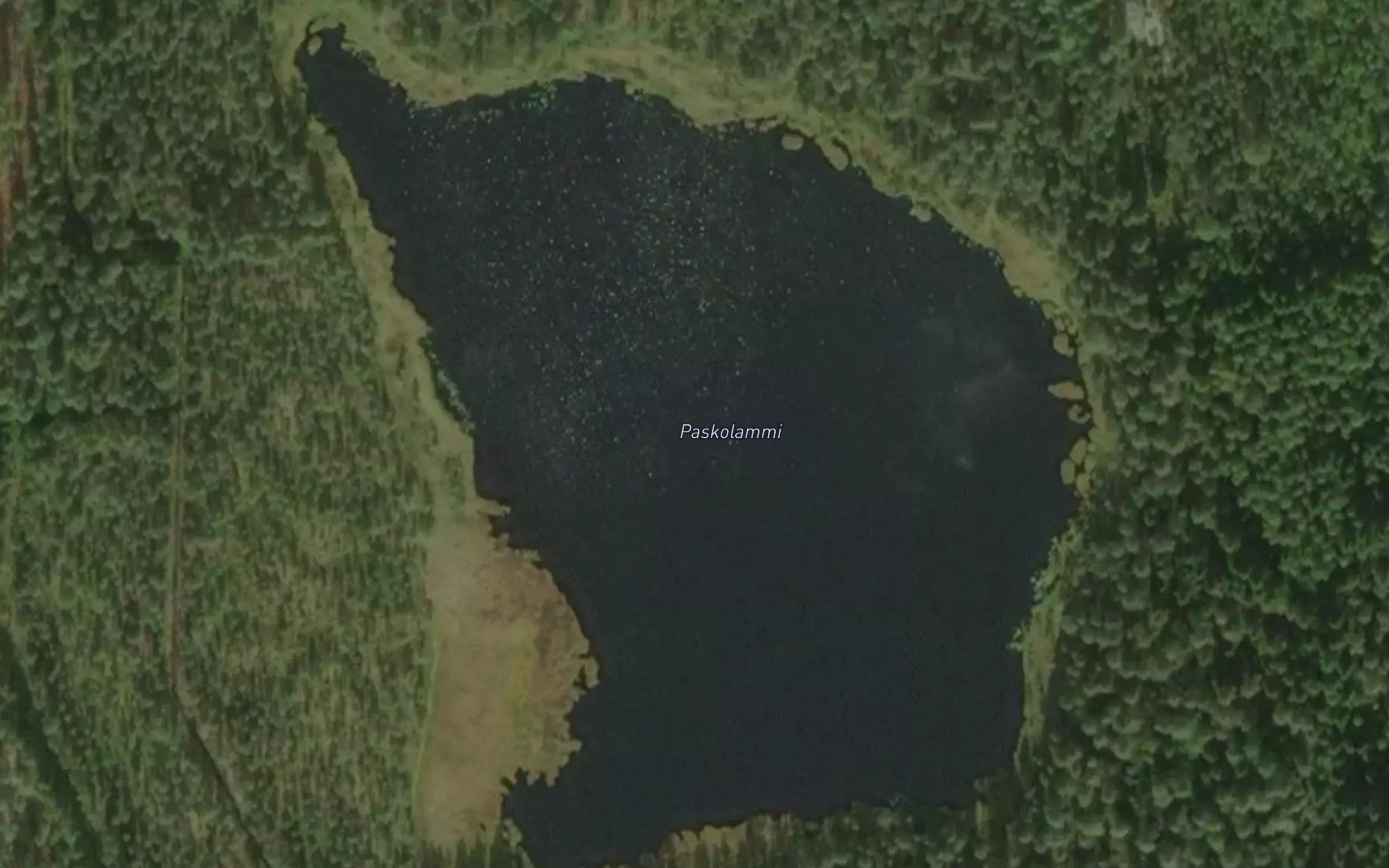 Paskolammi