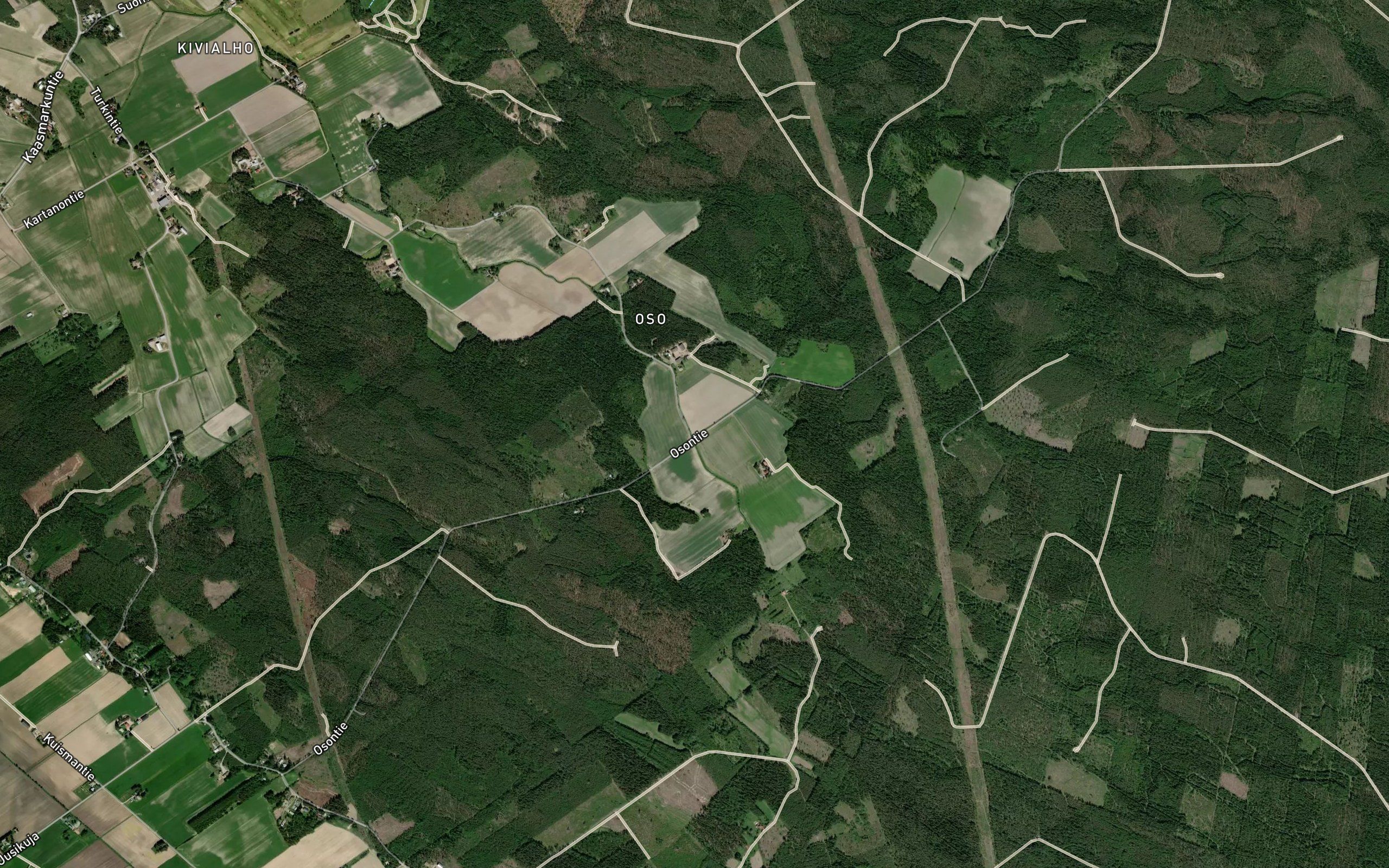 Kirsinoja