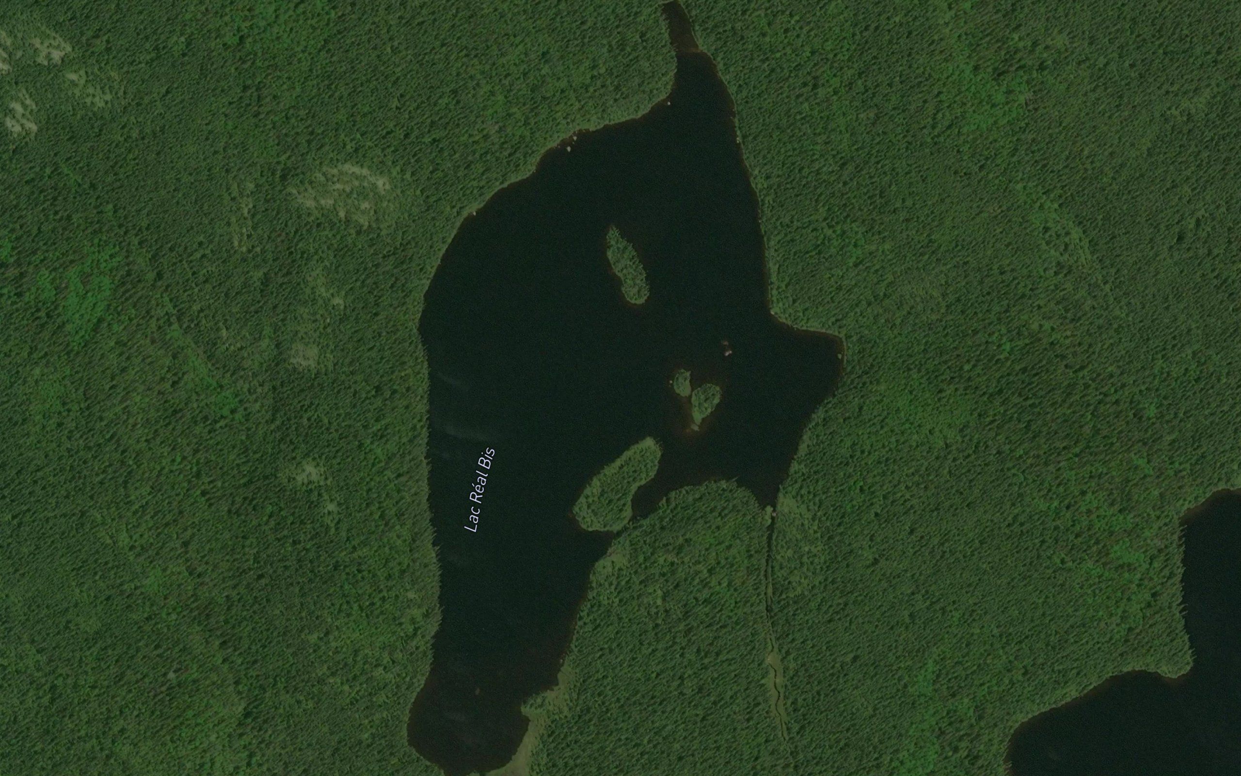 Lac Real Bis