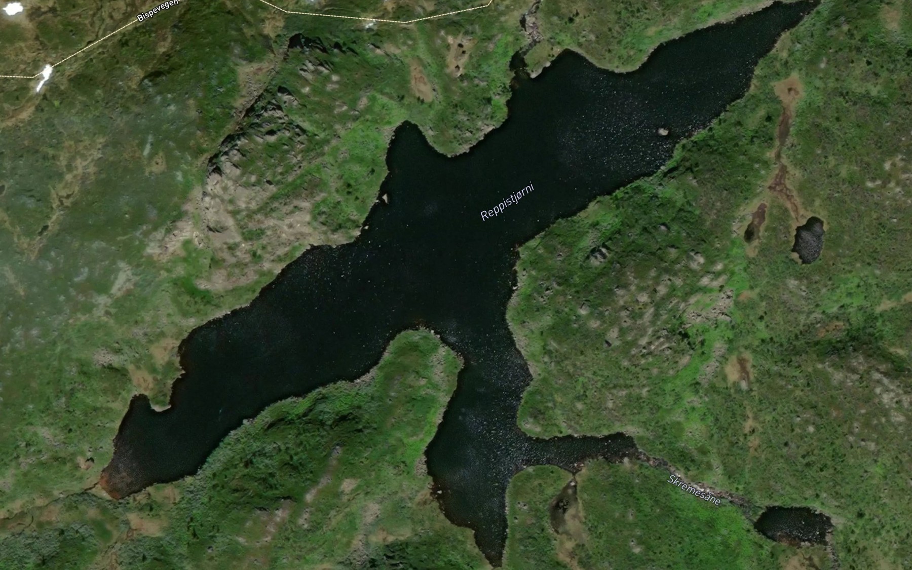 Satellite map of the Reppistjorni