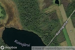 Koivujarvi