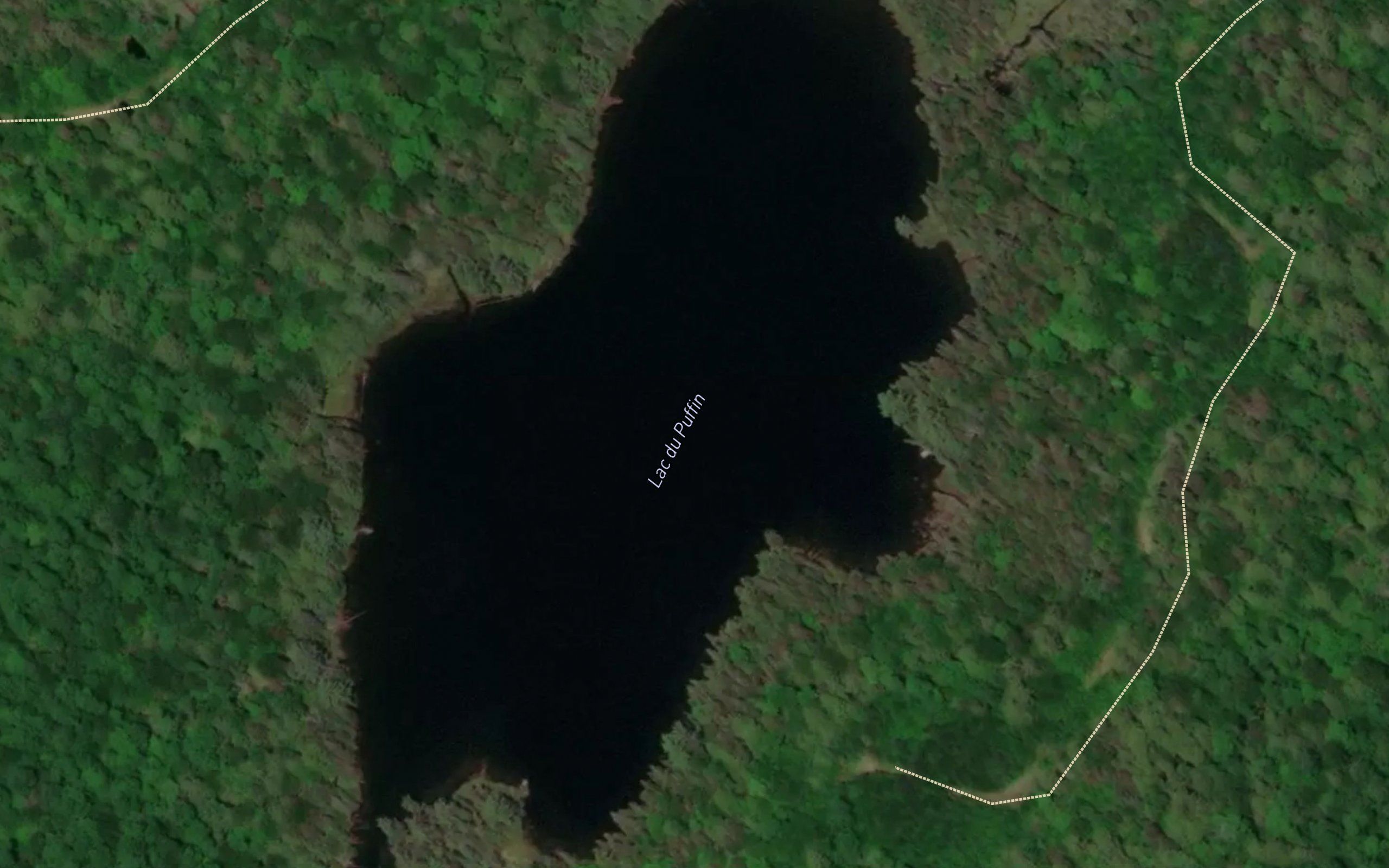 Lac du Puffin