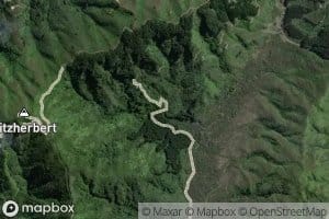 Wainuiomataiti Stream