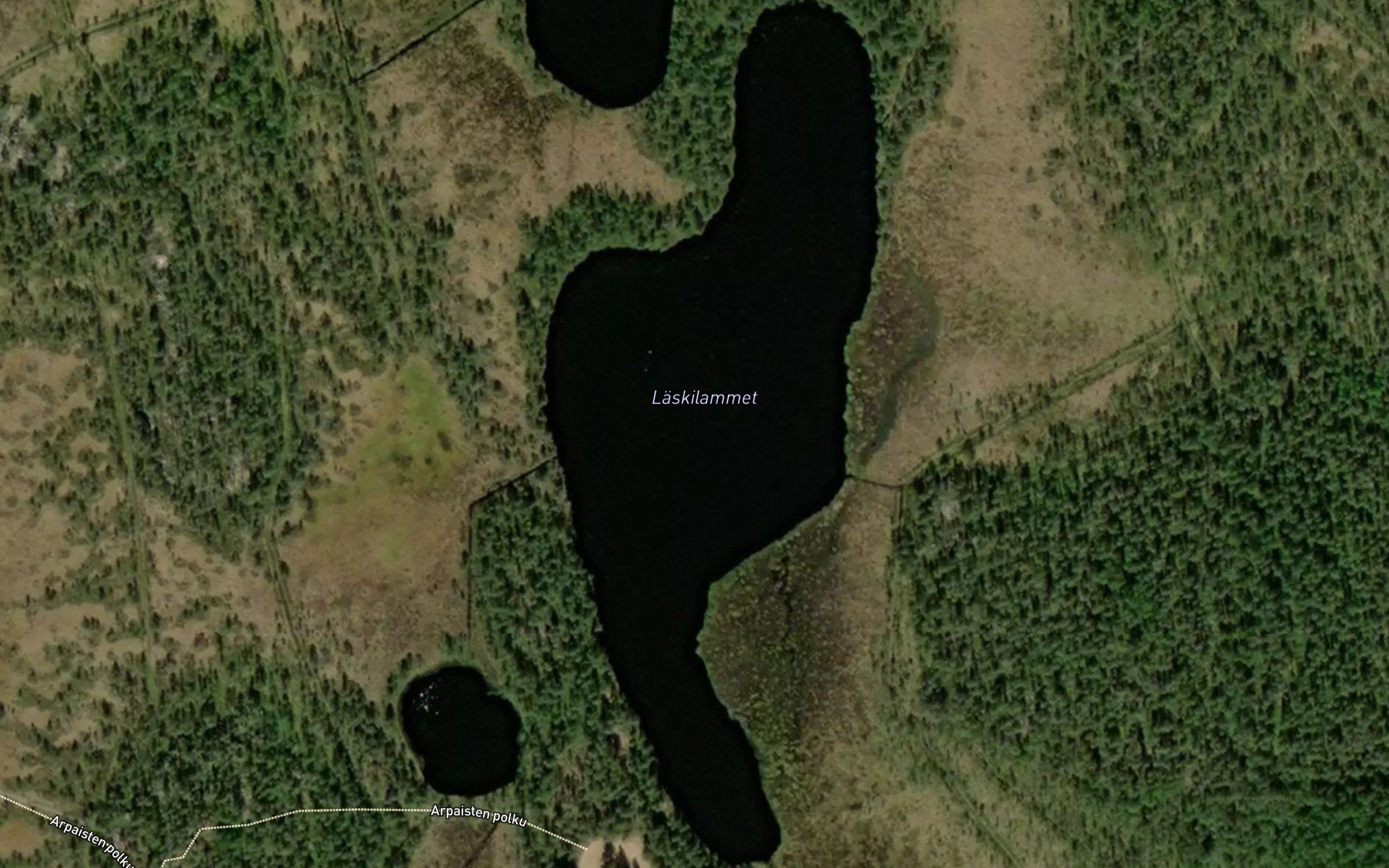 Laskilammet
