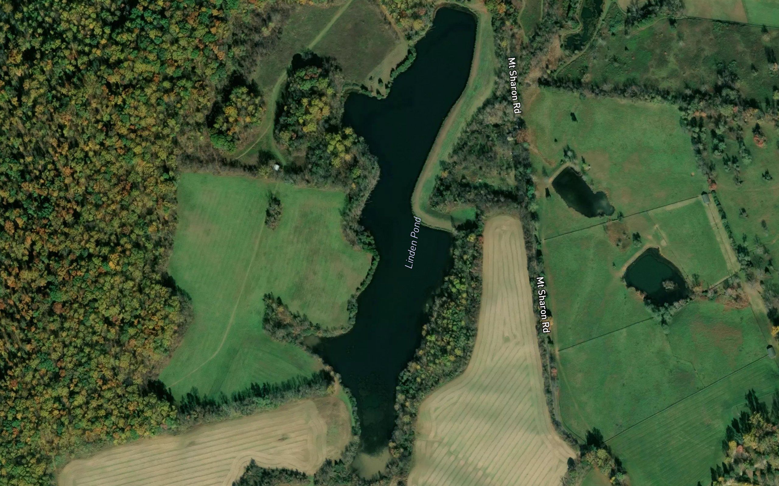 Linden Pond