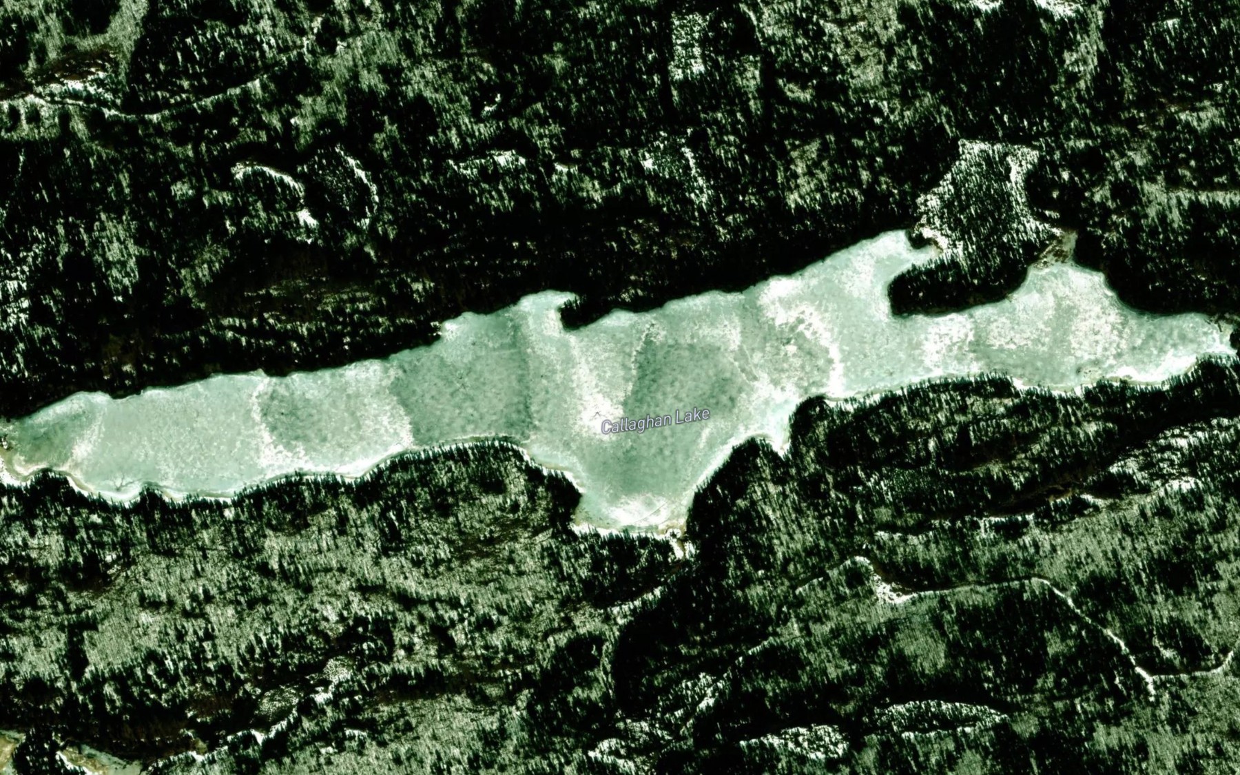 Satellite map of the Callaghan Lake