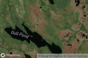 Gull Pond