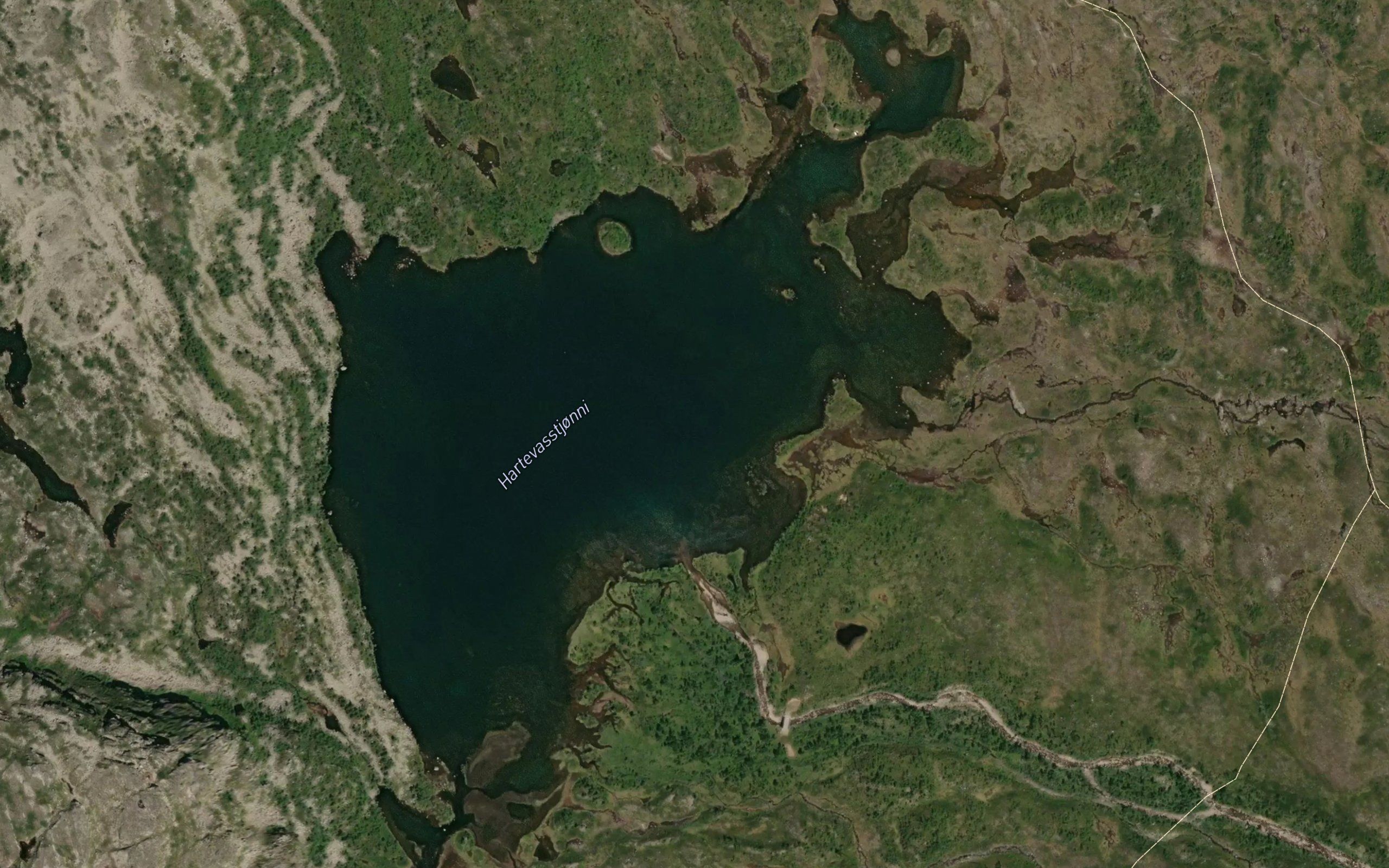 Hartevasstjonn