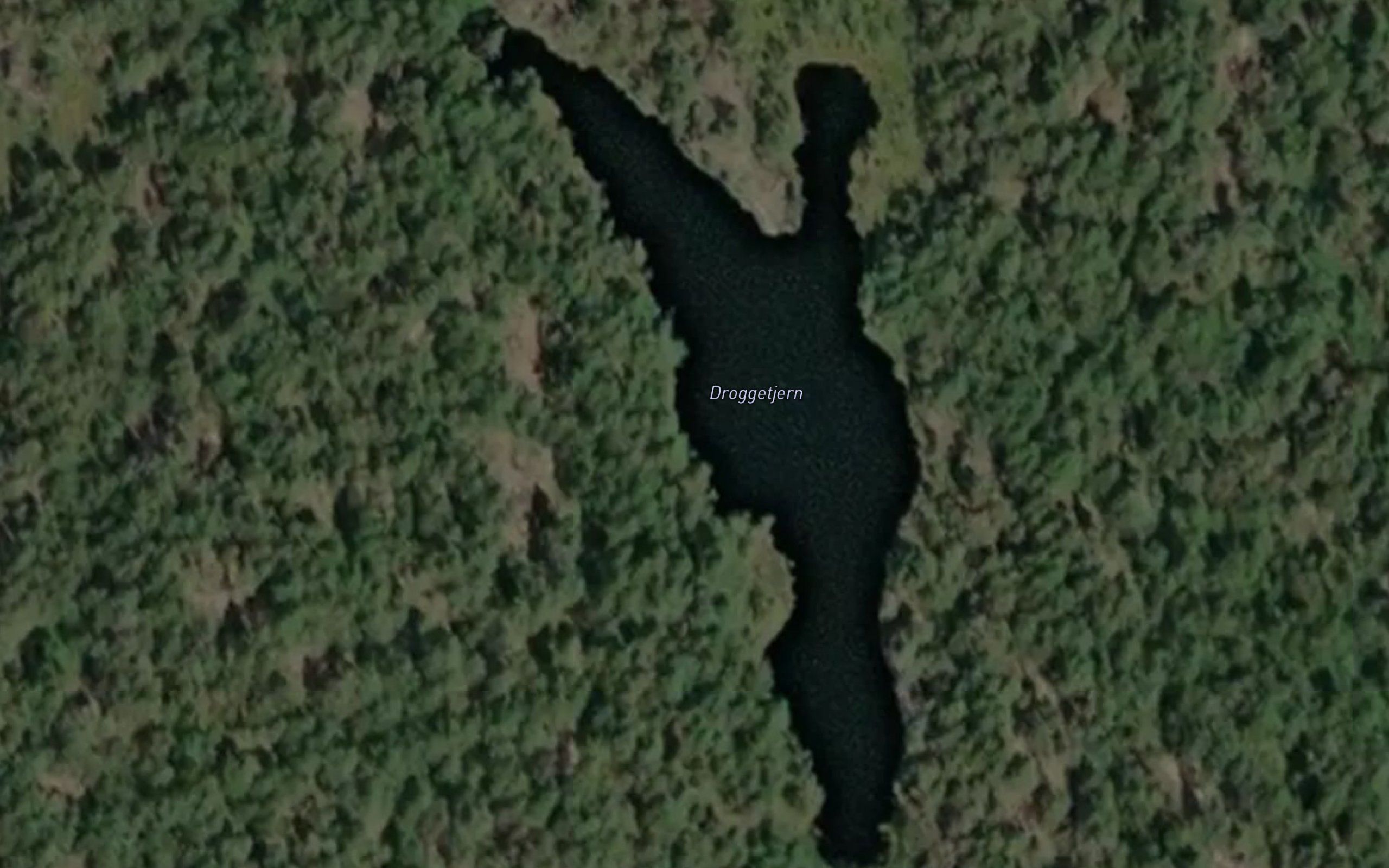 Droggetjern