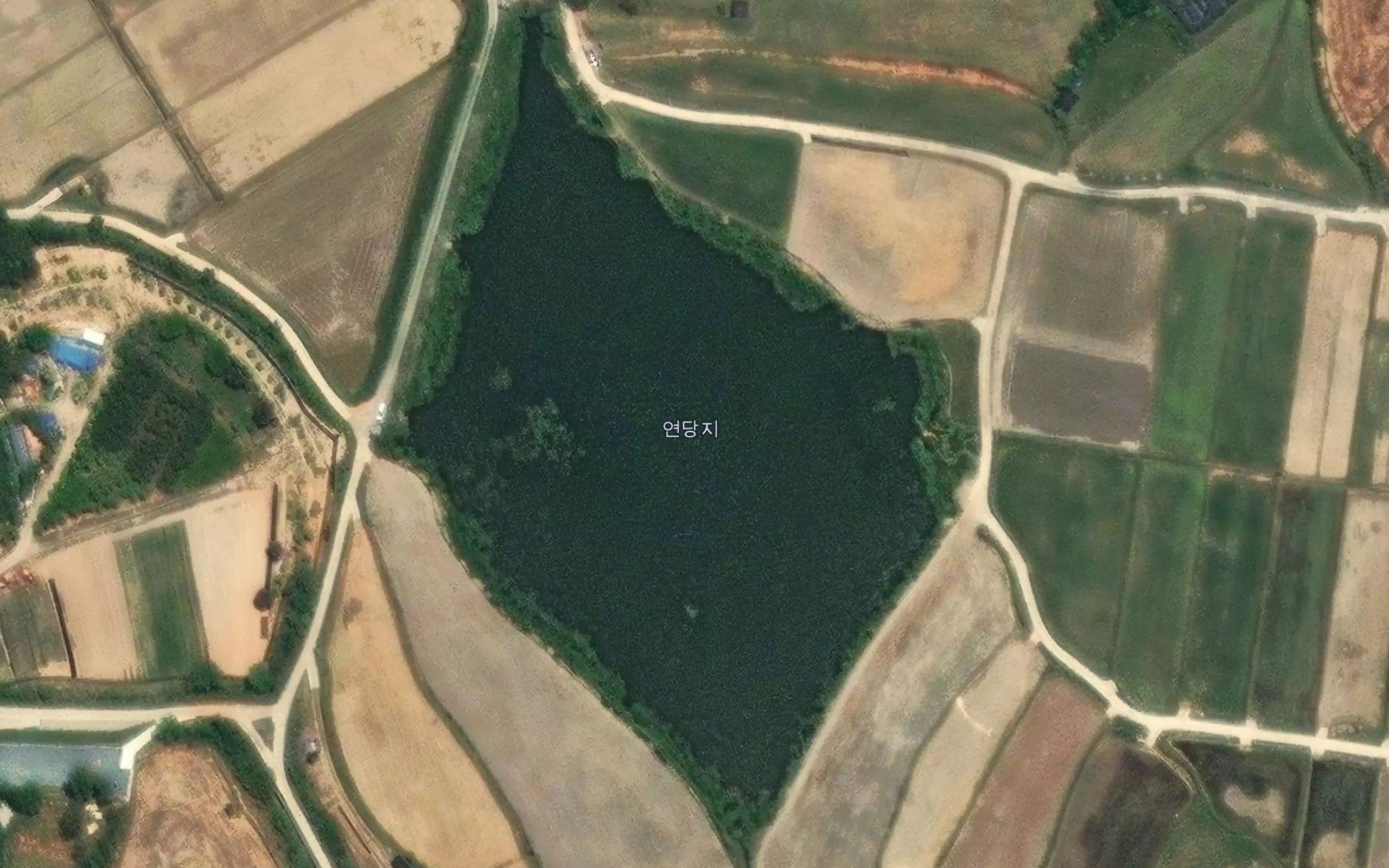 Yeondangje
