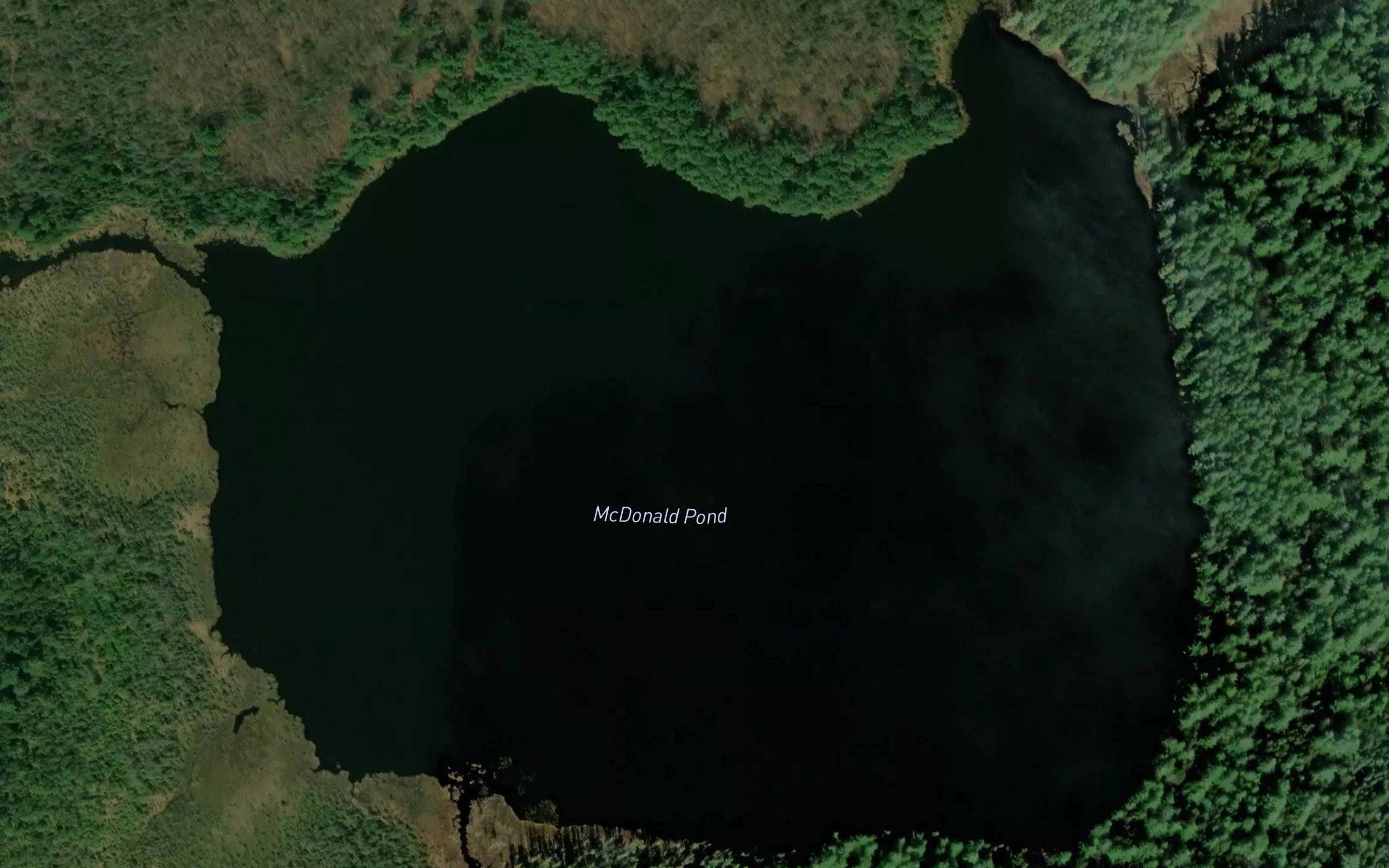 McDonald Pond