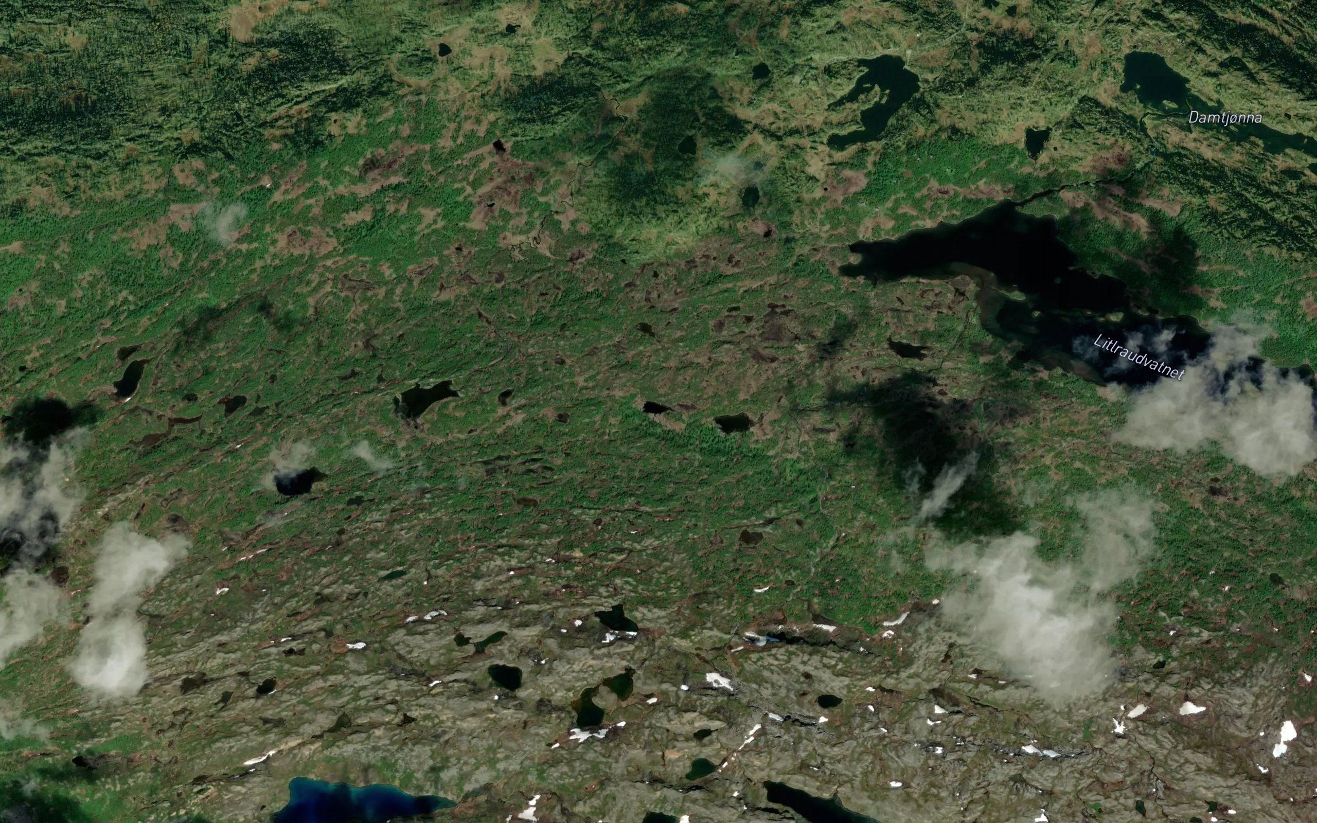 Brattlitjorna