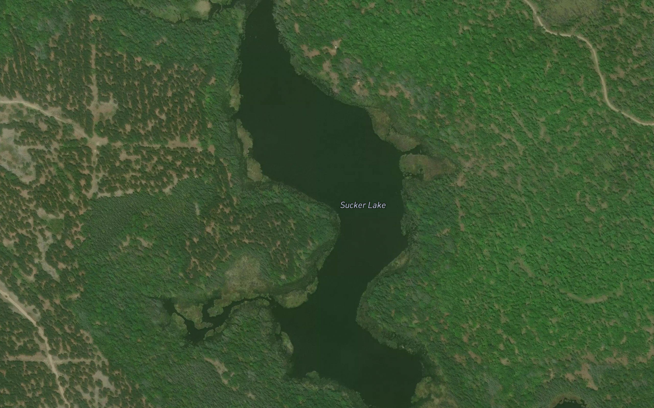Sucker Lake