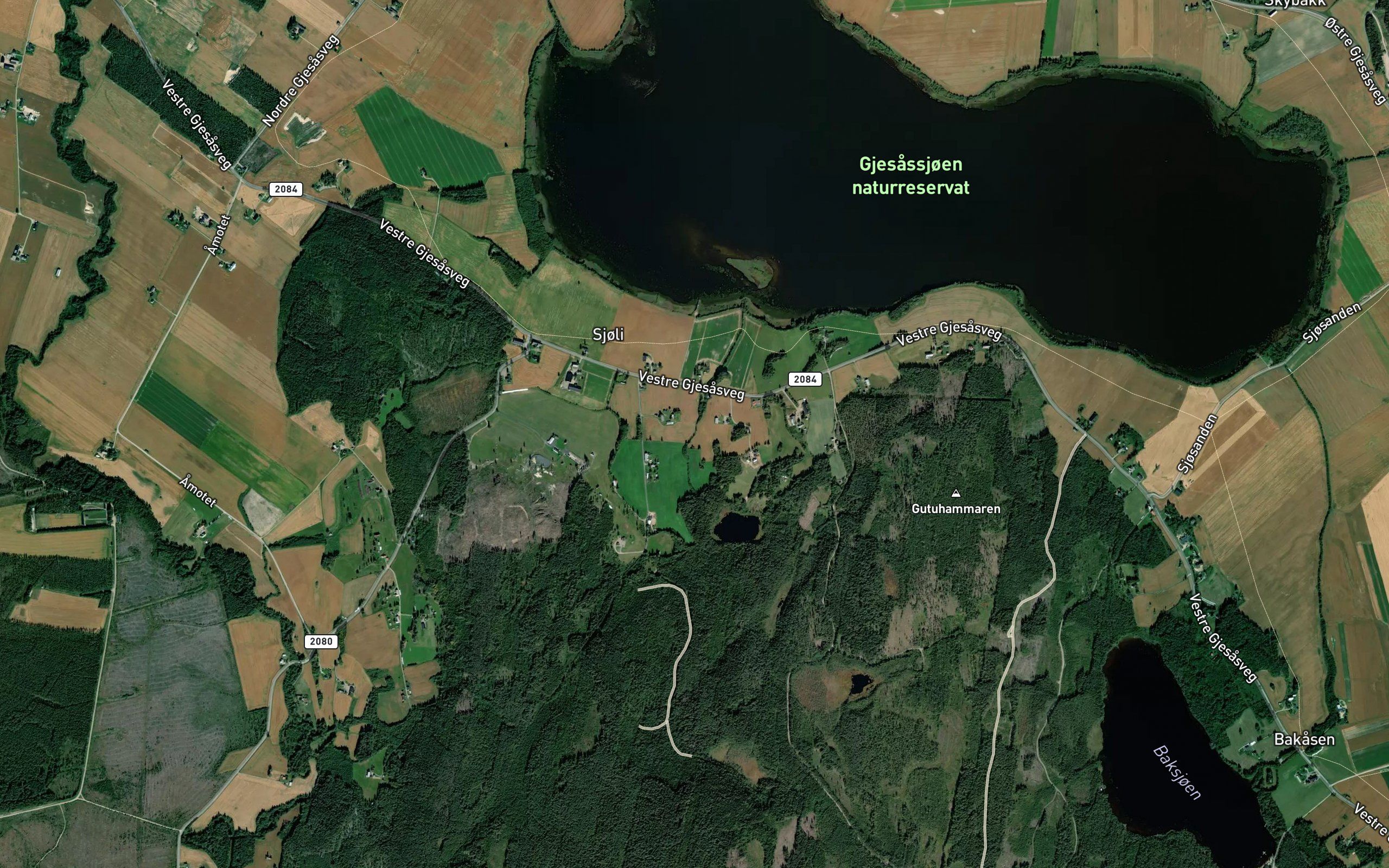 Svarthagabekken