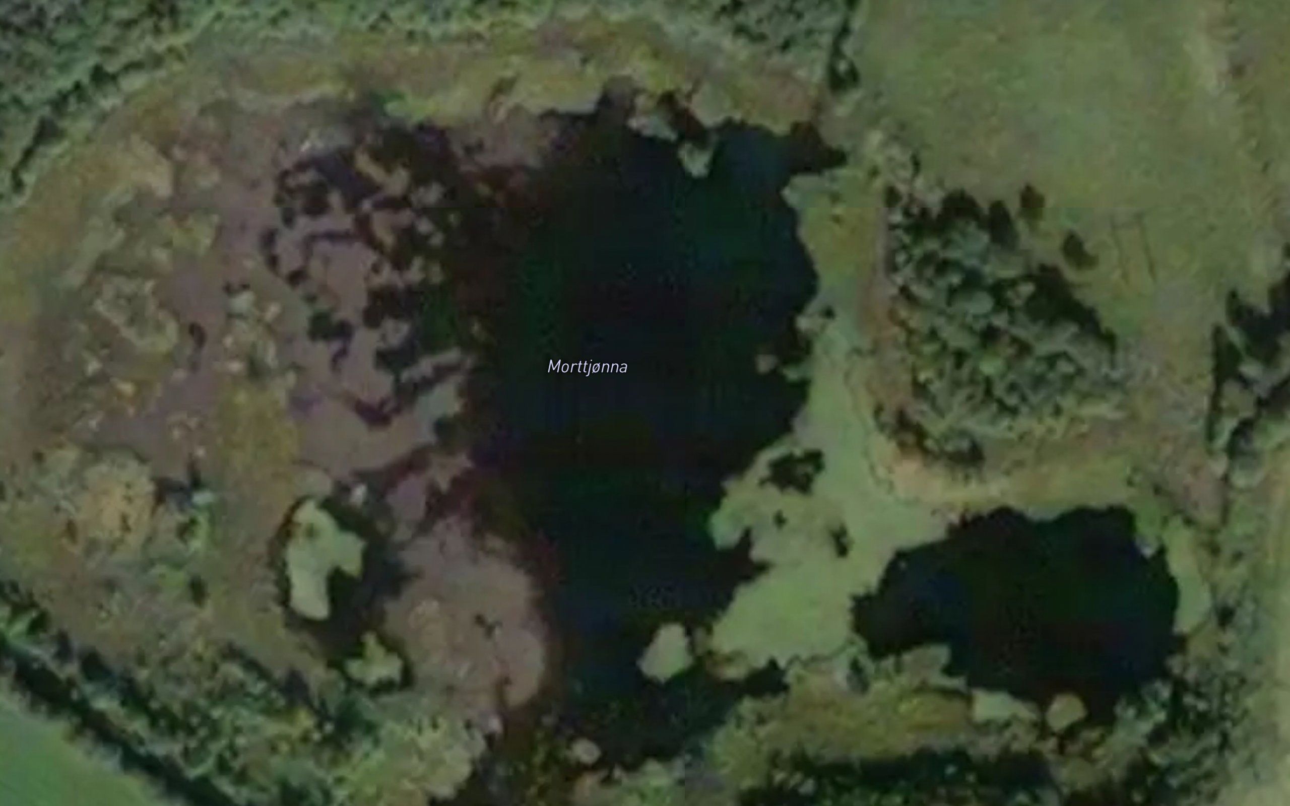 Morttjonna