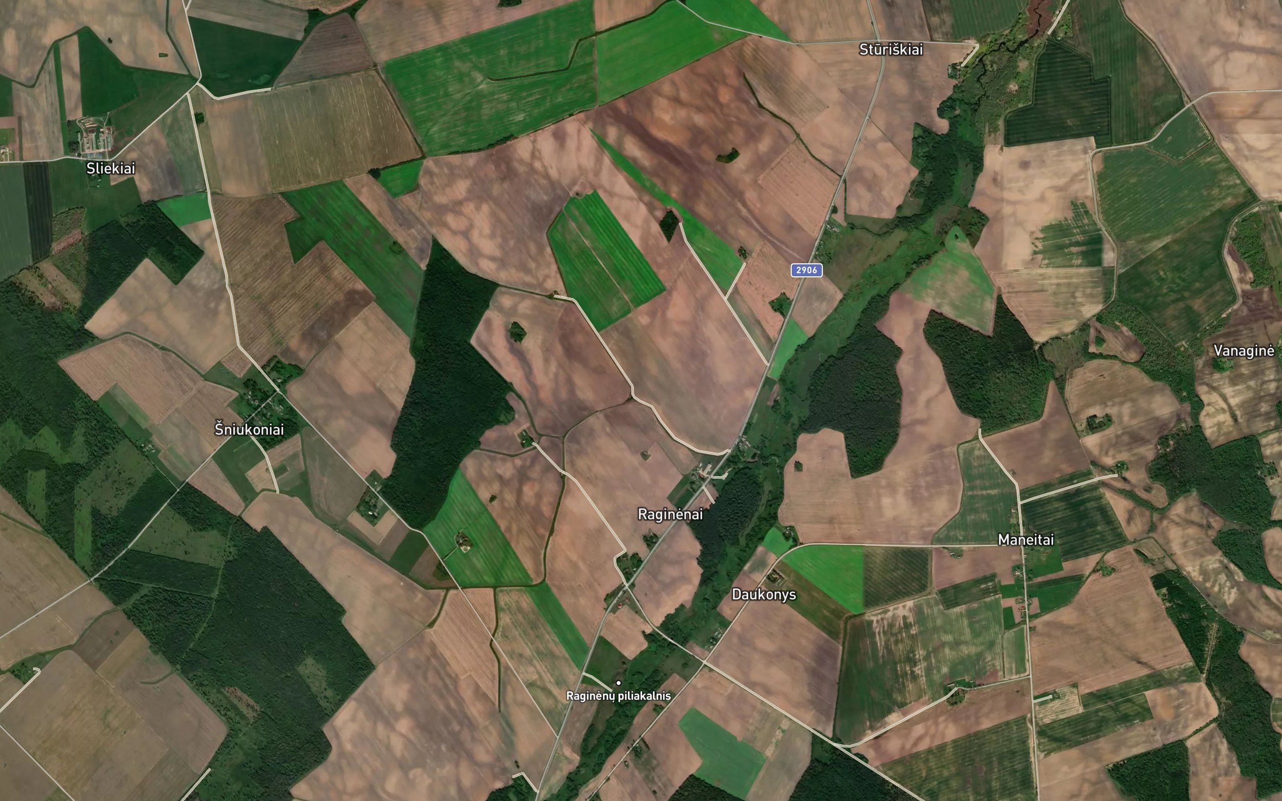 Lydziupelis