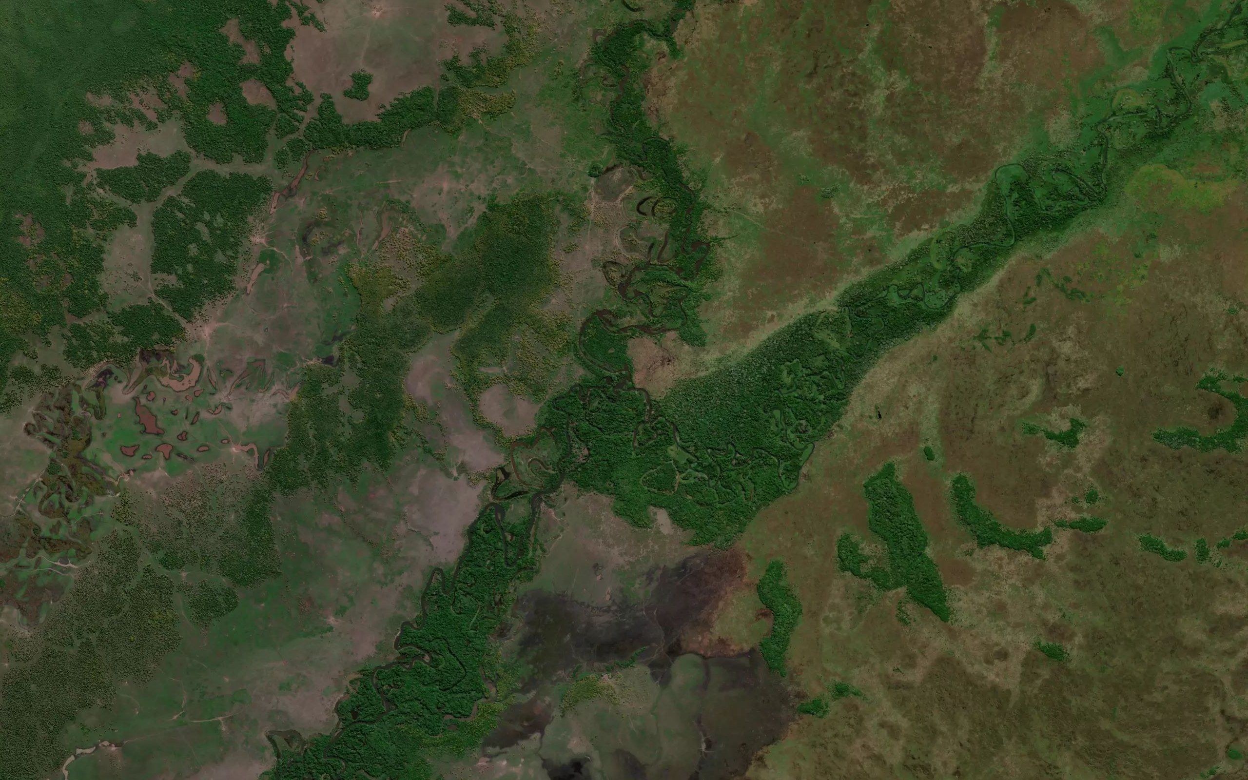 Igarape Surubim