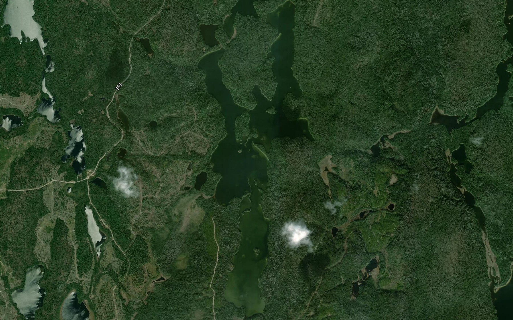 Satellite map of the Whalsom Lake