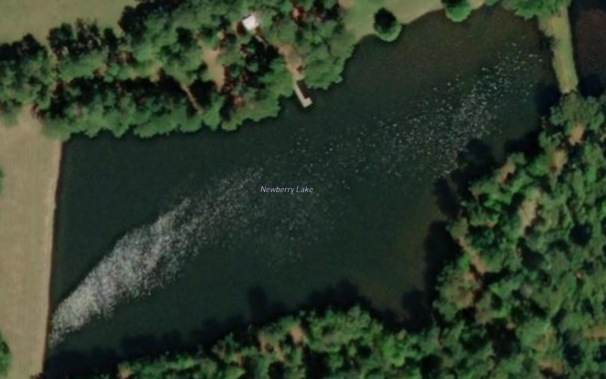 Newberry Lake