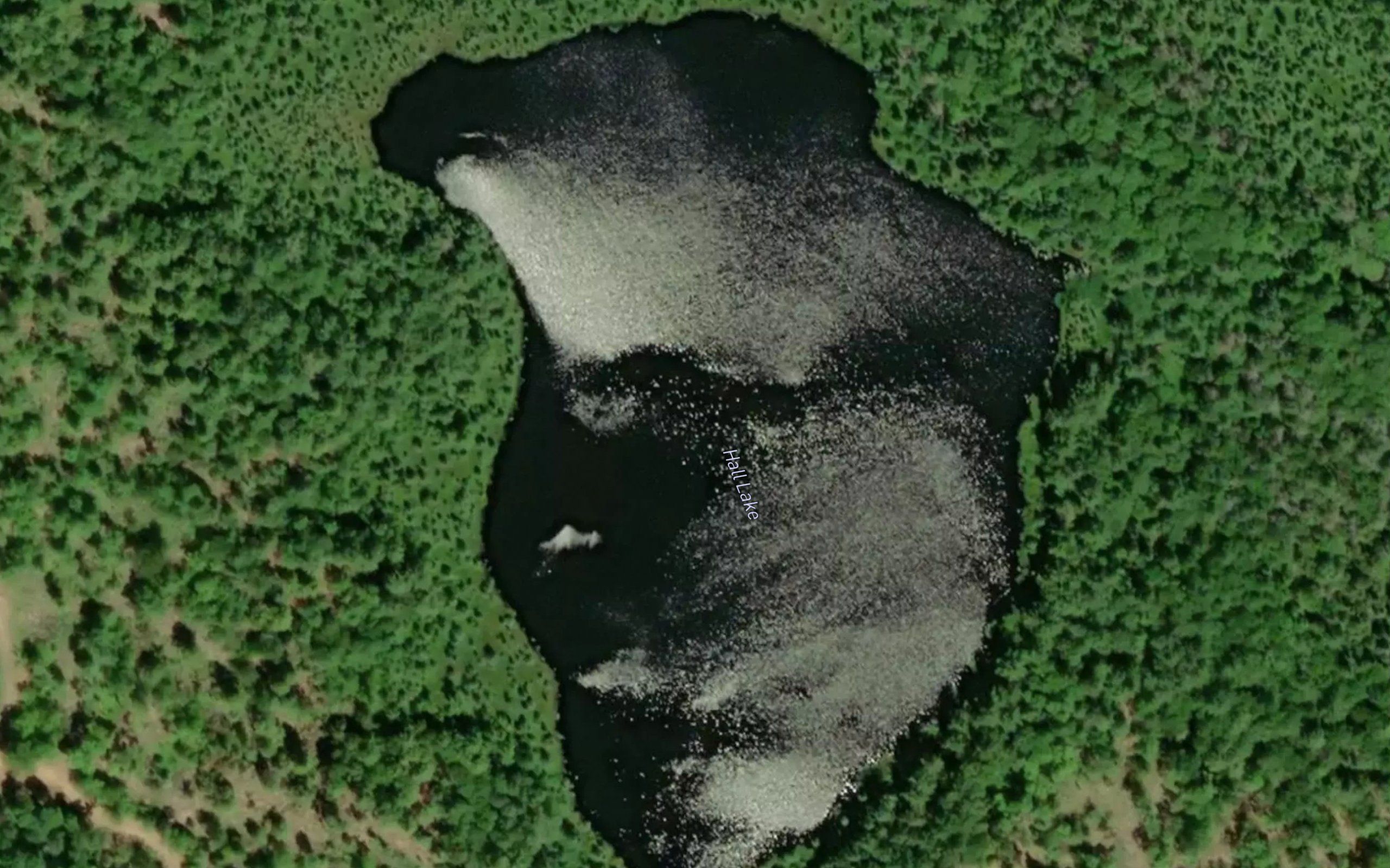 Hall Lake
