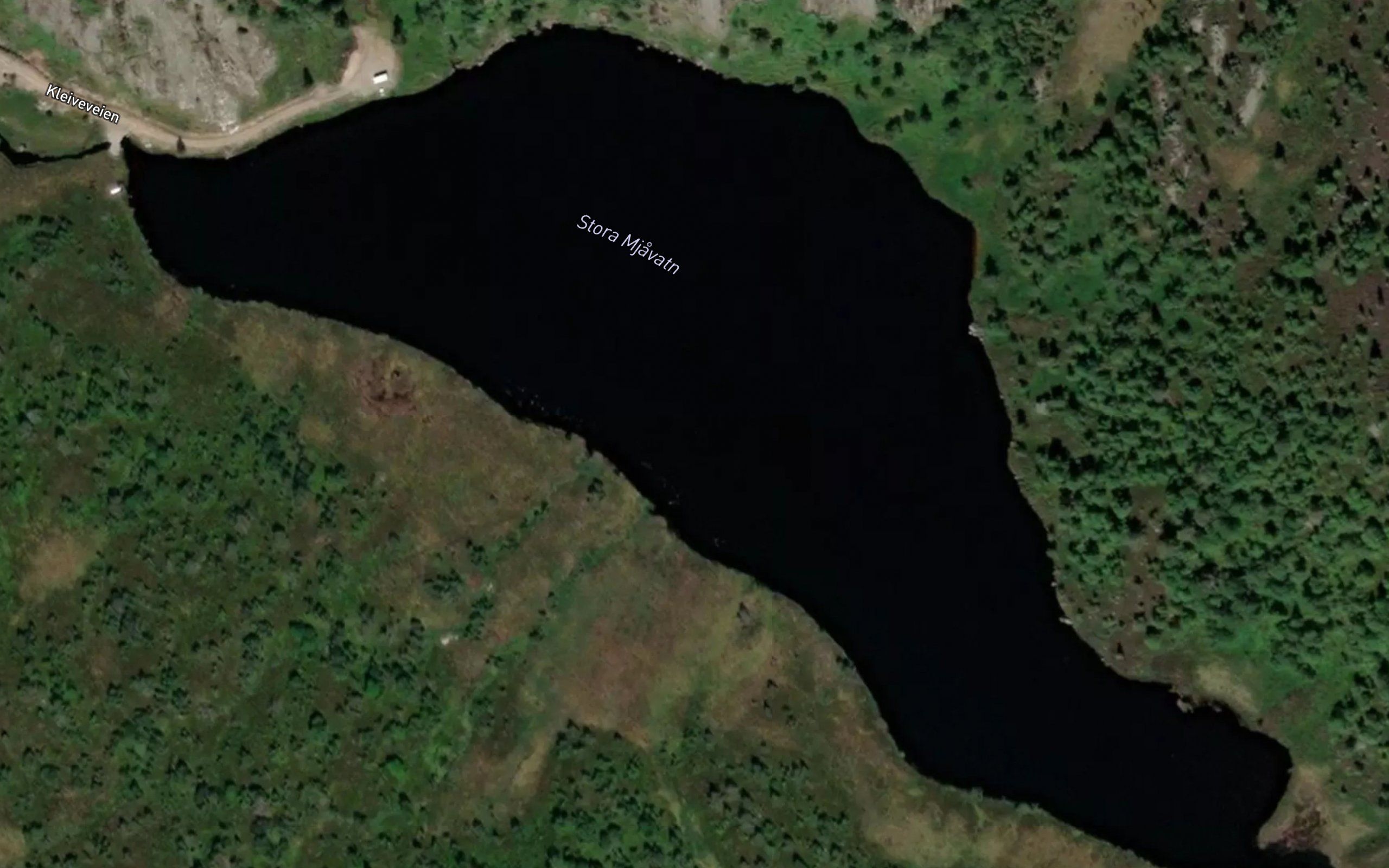 Mjavatnet