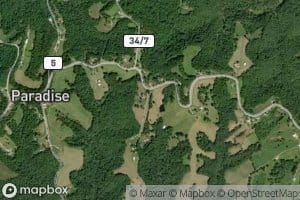 Robert Parkins Spring